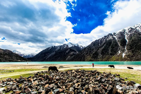 首页 八宿旅游 旅游动态然乌湖,来古冰川,邦达草原 仁措湖,多拉神山